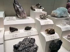 -天津自然博物馆