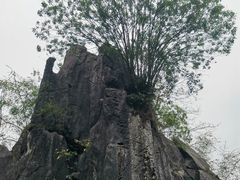 -玉石林风景区