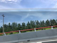 -西青郊野公园