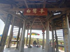 -北海金海湾红树林生态旅游区