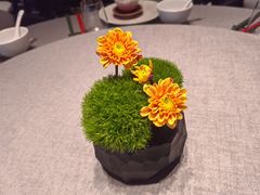 -南堂馆·新川菜(春熙路店)