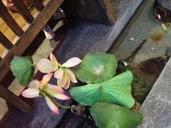 -椒香城门口老火锅(天府长城店)