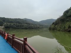 -黄埔油麻山森林公园