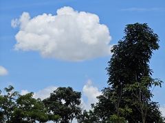 -深圳人才公园