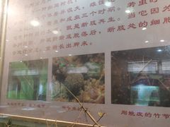 -上海昆虫博物馆