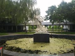 -荷花大观园