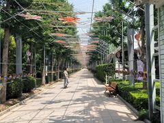 -南宫五洲植物乐园