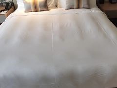 -上海浦东绿地铂骊酒店