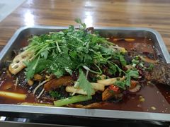-唐氏烤鱼美蛙(西永第8分店)