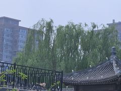 -元大都城垣遗址公园