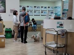 -美联众合动物医院·24h转诊中心