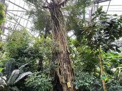 -华南国家植物园-售票处