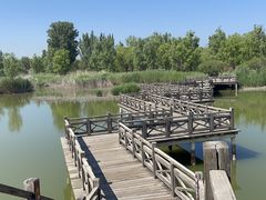 -野鸭湖国家湿地公园