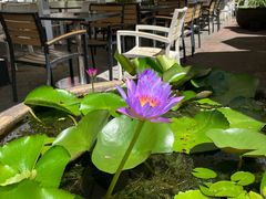 -813芭依珊 BAESAn(皇冠十畝地店)