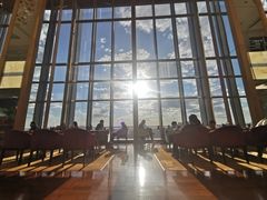 -视界美食自助餐厅·石家庄希尔顿酒店