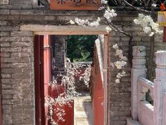 -潭柘寺景区