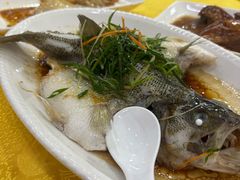 清蒸鲈鱼-茂港柏香(侨港路店)