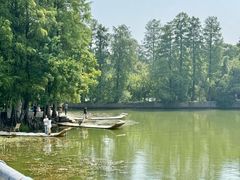 -东湖落雁景区