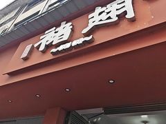 -福鼎褚翅