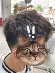 -NICE SALON 奈丝造型