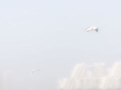 -金梦海湾浴场