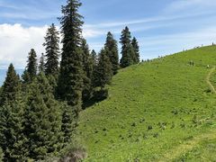 -新疆那拉提国家旅游度假区