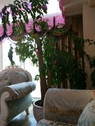 -纤姿俪纳·产后恢复连锁机构(鄞州万达店)