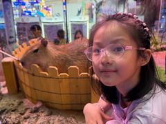 -正佳雨林生态植物园
