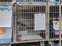 -德元·美联众合24小时动物医院(总院)