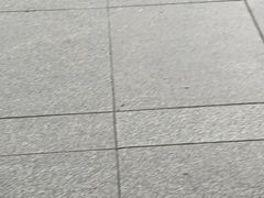 -金记老七家湾第一锅贴店(金沙井总店)