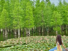 -白鹭湾湿地公园