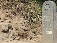 -梧桐山风景名胜区