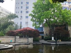 -常州古运河南大街文化旅游区-人民公园