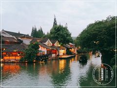 -乌镇西栅景区