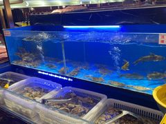 -布多斯烤肉火锅自助(江腾广场店)