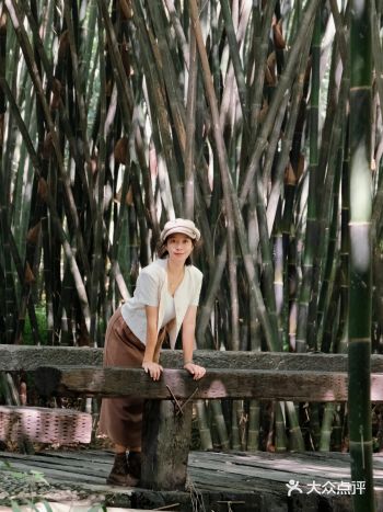 成都周边赏秋|1h直达免费湖泊竹林公园