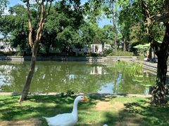 -蜀大侠·侠客印象(园林博物馆店)
