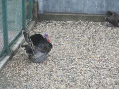 -南京金牛湖风景区