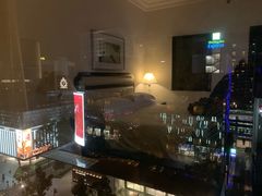 -新加坡乌节希尔顿酒店 (SG Clean)