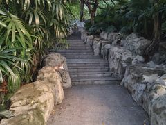 -晓港公园