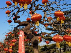 -香山公园