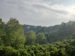 -莫干山风景区