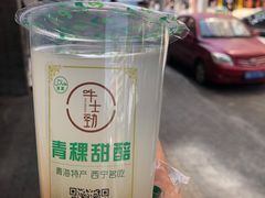 -德禄酸奶(莫家街店)