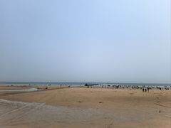 -日照海滨国家森林公园