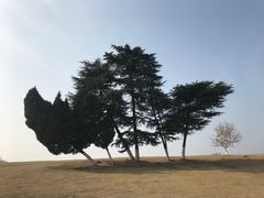 -钟山体育运动公园