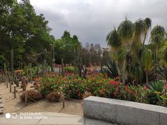 -深圳仙湖植物园