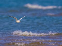 -东戴河风景区-止锚湾