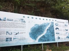 -羚羊峡古栈道森林公园