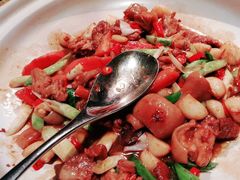 -凤凰湘语(浦东旗舰店)