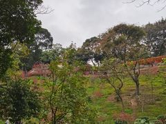 -桃花涧